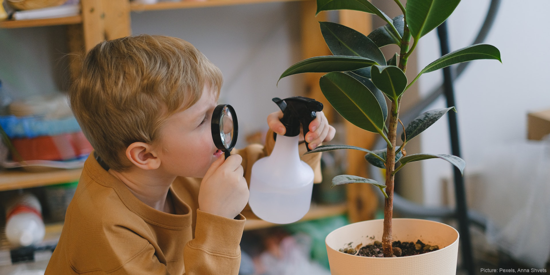 Magnifying glass pexels anna shvets 11286066