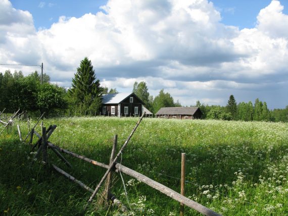Ilomantsin Hattuvaaran kylämaisemaa. Kuva: Marja-Leena Ikkala, Museovirasto