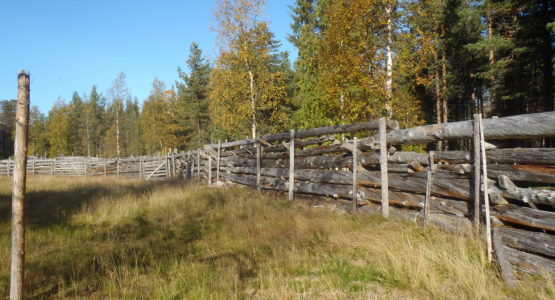 Mmpl Salmurin Poroaita Sodankylä Kuva Timo Nyman Metsähallitus P9072371