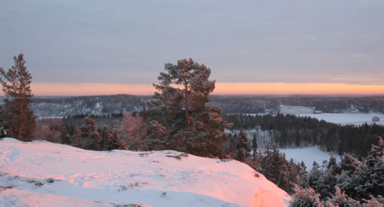 Piikkiö Huttalan Linnavuori