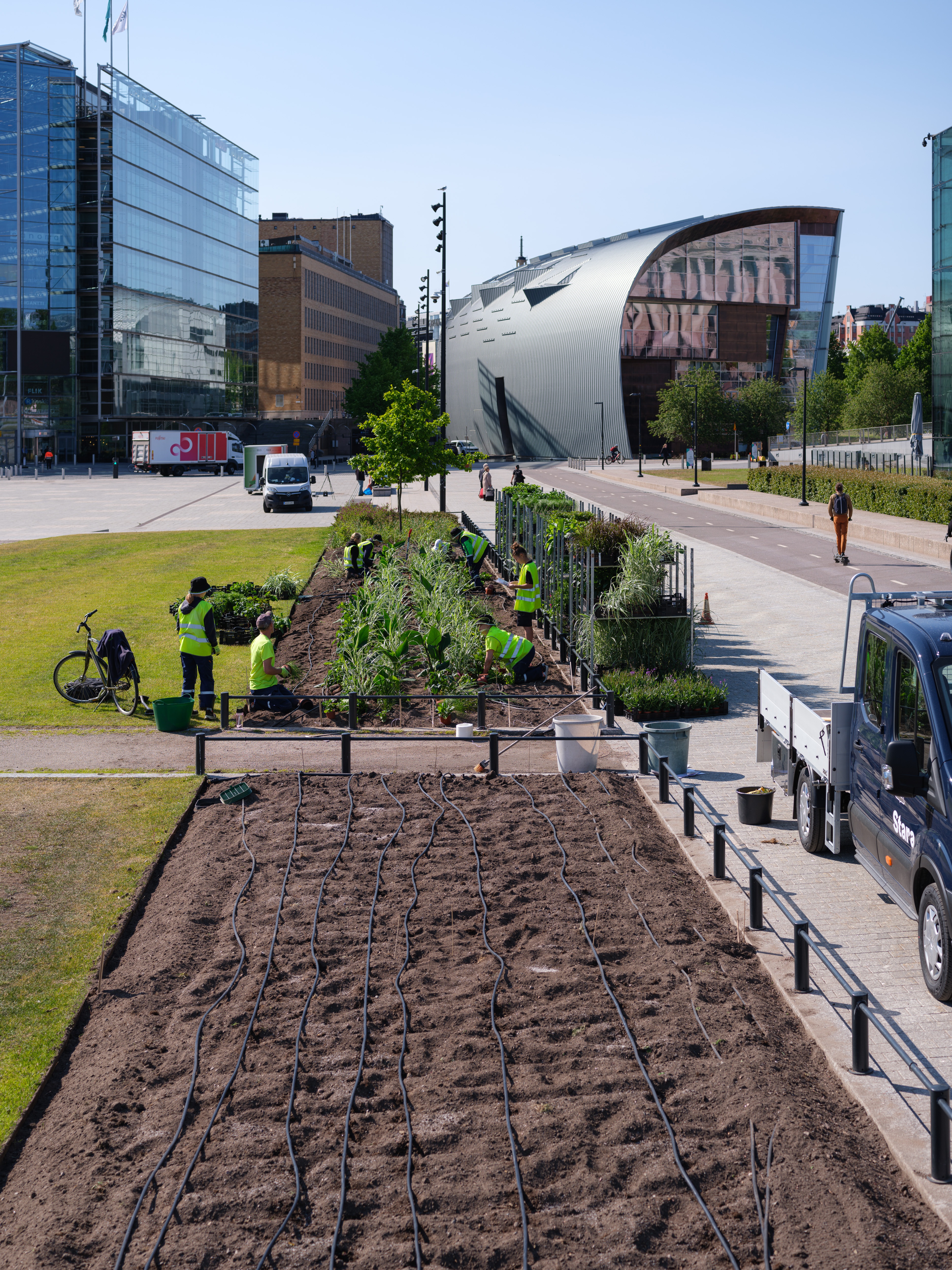 Kausikasvien istutustöitä Makasiinipuistossa kesäkuussa 2023. Kuva: Yehia Eweis, Helsingin kaupunginmuseo.