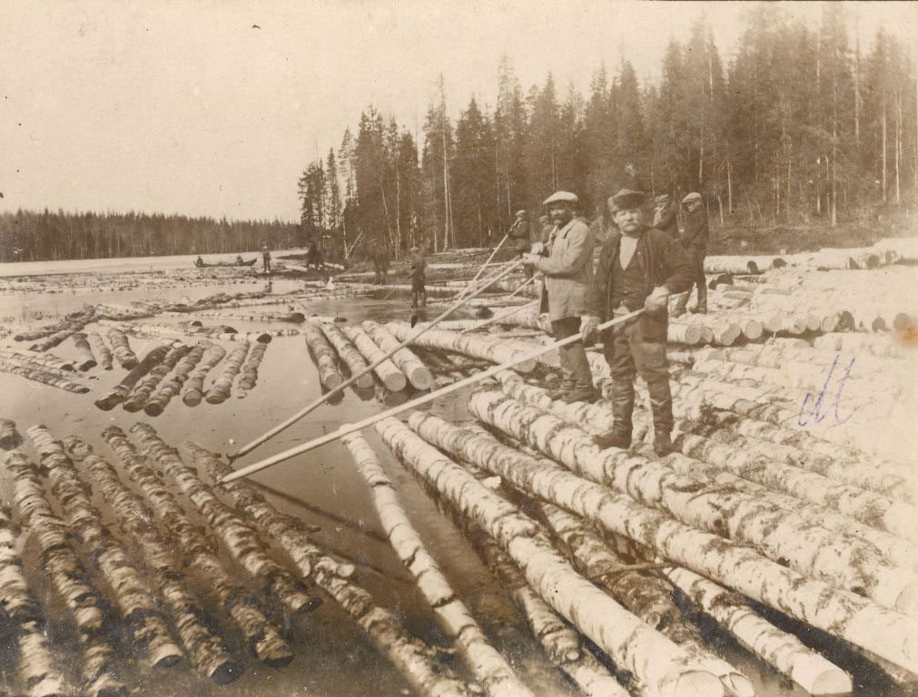 Tukkipuun kuljetuksessa hyödynnettiin vesireittejä. Uittomiehiä vierittämässä tukkeja keväällä laanista eli varastopaikalta uittoväylälle