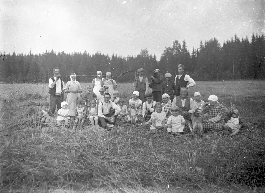 Elonkorjuuseen osallistuivat vielä 1930-luvulla kaikki vauvasta vaariin