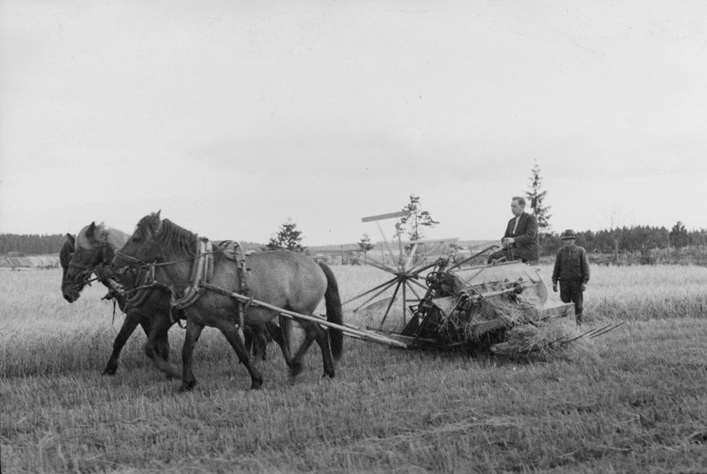 Amerikkalaisvalmisteisen W.A. Wood - itsesitojan käyttöä 1930-luvulla. Itsesitoja leikkaa viljan, kokoaa siitä sopivan kokoisen lyhteen, sitoo lyhteen ja tekee sitomalankaan vetosolmun, joka on helppo avata kun viljaa ryhdytään puimaan.