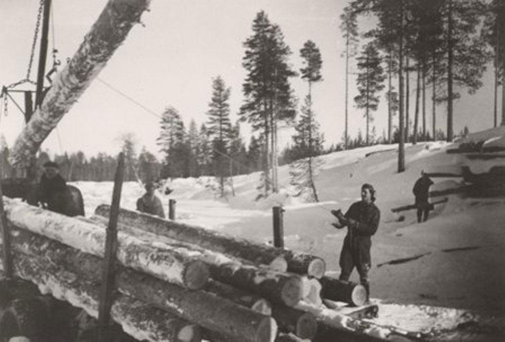 Puutavaran kuljetus on siirtynyt vesireiteiltä auto- ja junaliikenteeseen. Tukkirekan lastausta Pielisjärvellä 1950-luvulla.