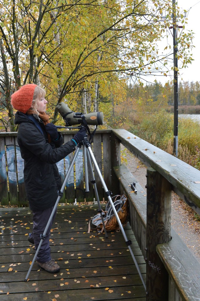 Hannan kaukoputkessa on 20-60-kertainen suurennusmahdollisuus eli zoom.