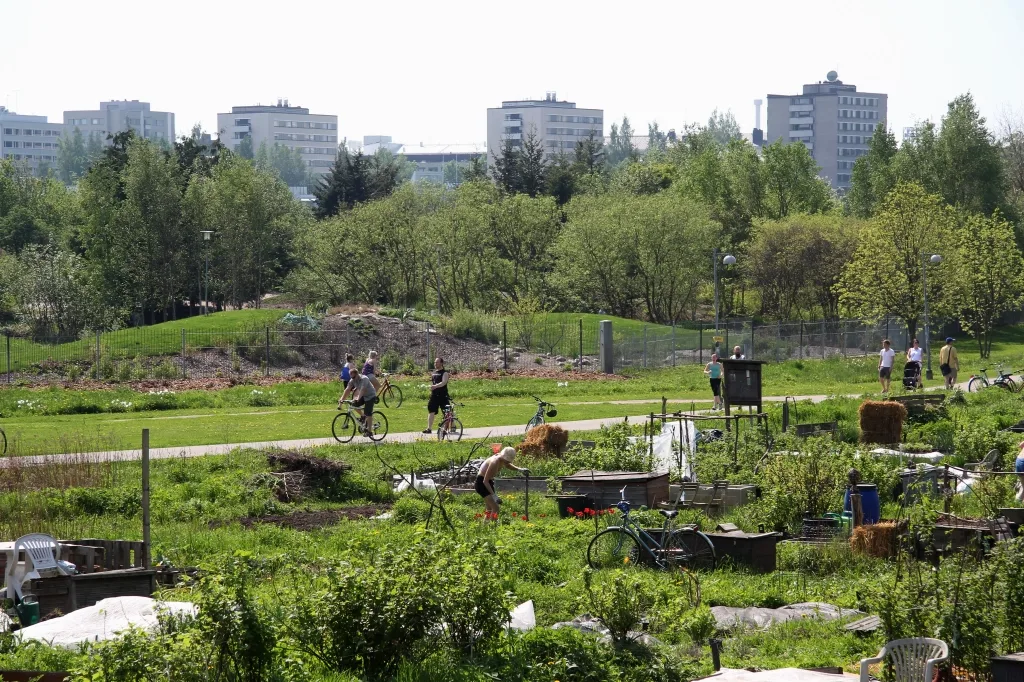 Näkymä yli siirtolapuutarhan Vallilassa