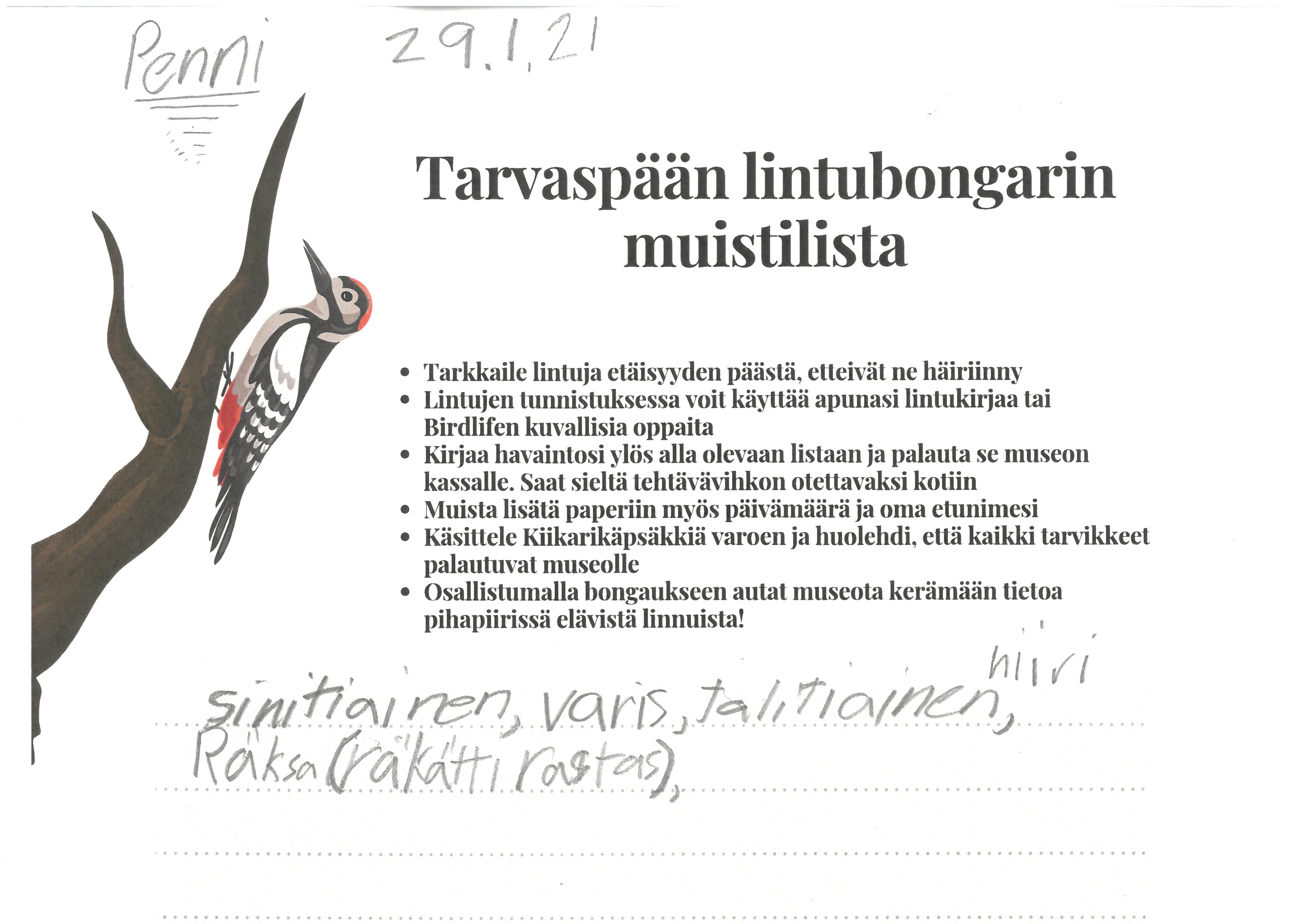 Museolta on voinut lainata Kiikarikapsakin lintujen havainnointiin. Havainnot on kirjattu bongauslomakkeeseen.